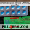 What Is Leopard Miracle Of Honey Used For new03